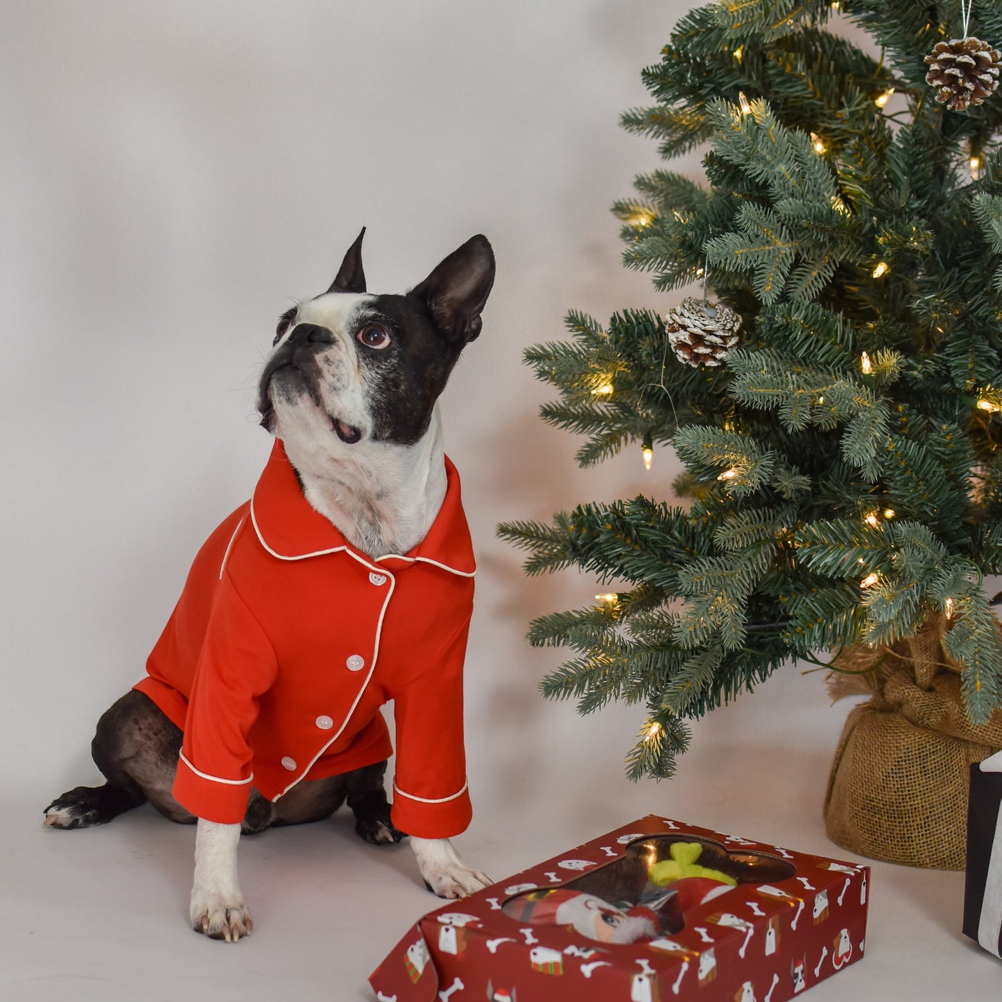 Bailey Fiery Red Pet Pajamas